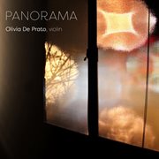 Panorama cover image cdn