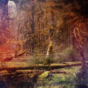 Slidecamp cover image cdn