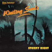 Stormy Night cover image cdn