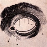 The mind's eye - ep cover image cdn