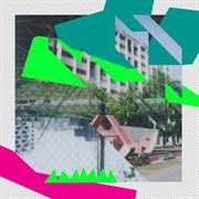 Tigers in Tampines cover image cdn