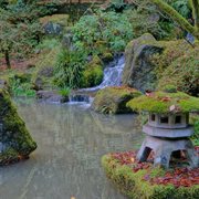 Yellow Sun cover image cdn