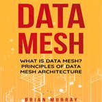 Data Mesh cover image cdn