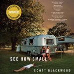See How Small : A Novel cover image cdn