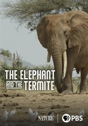 The Elephant and the Termite cover image cdn