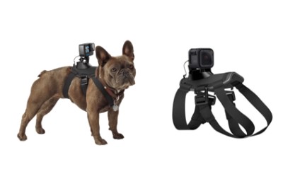Dog filming kit cover image cdn