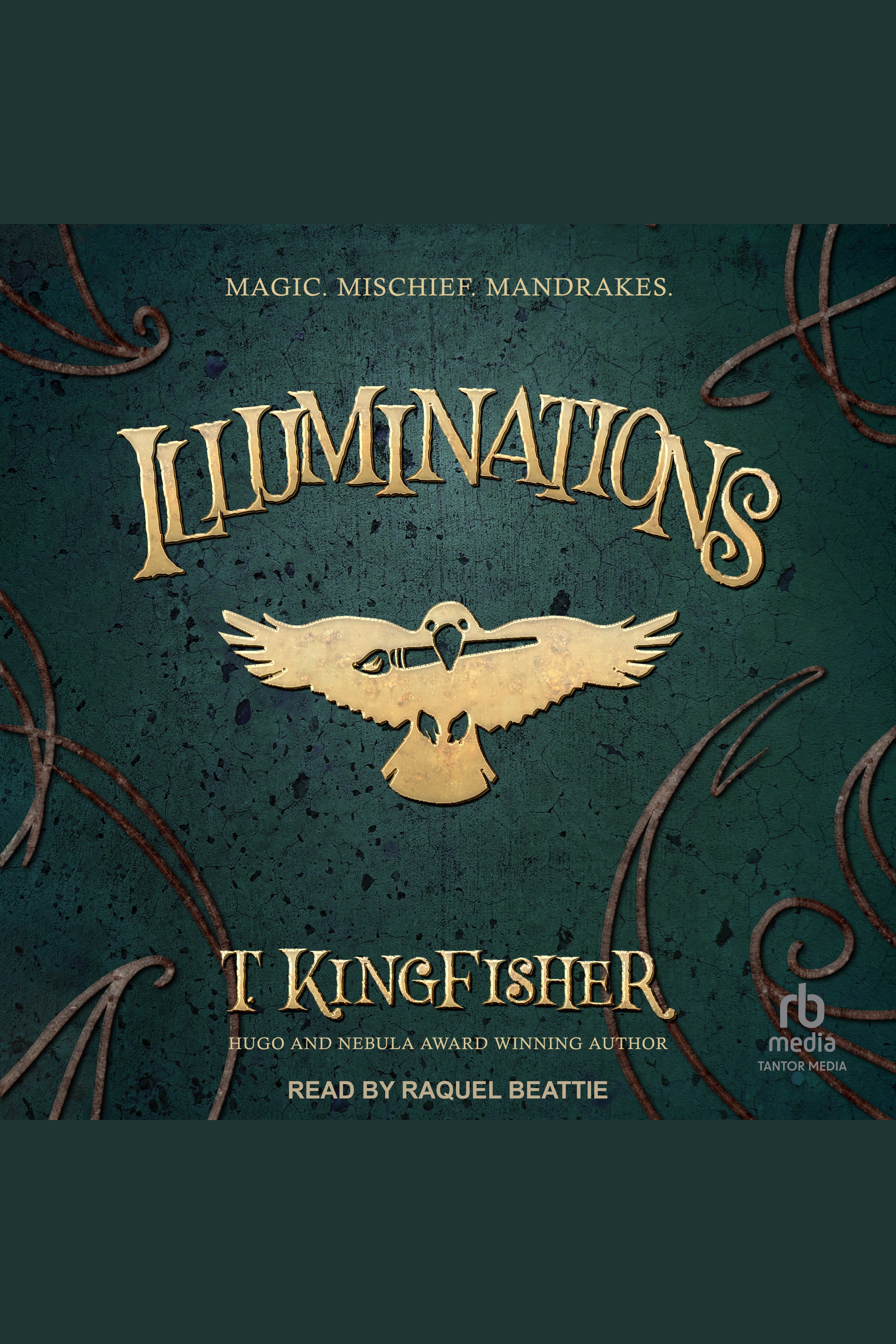 Illuminations cover image cdn