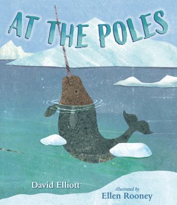 At the poles  cover image cdn