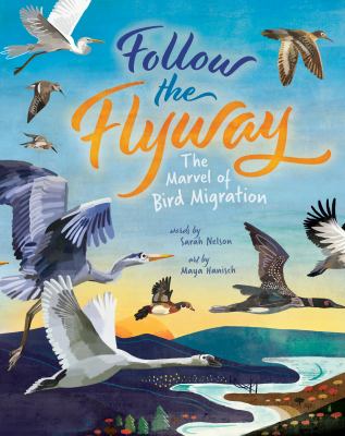 Follow the flyway : the marvel of bird migration cover image