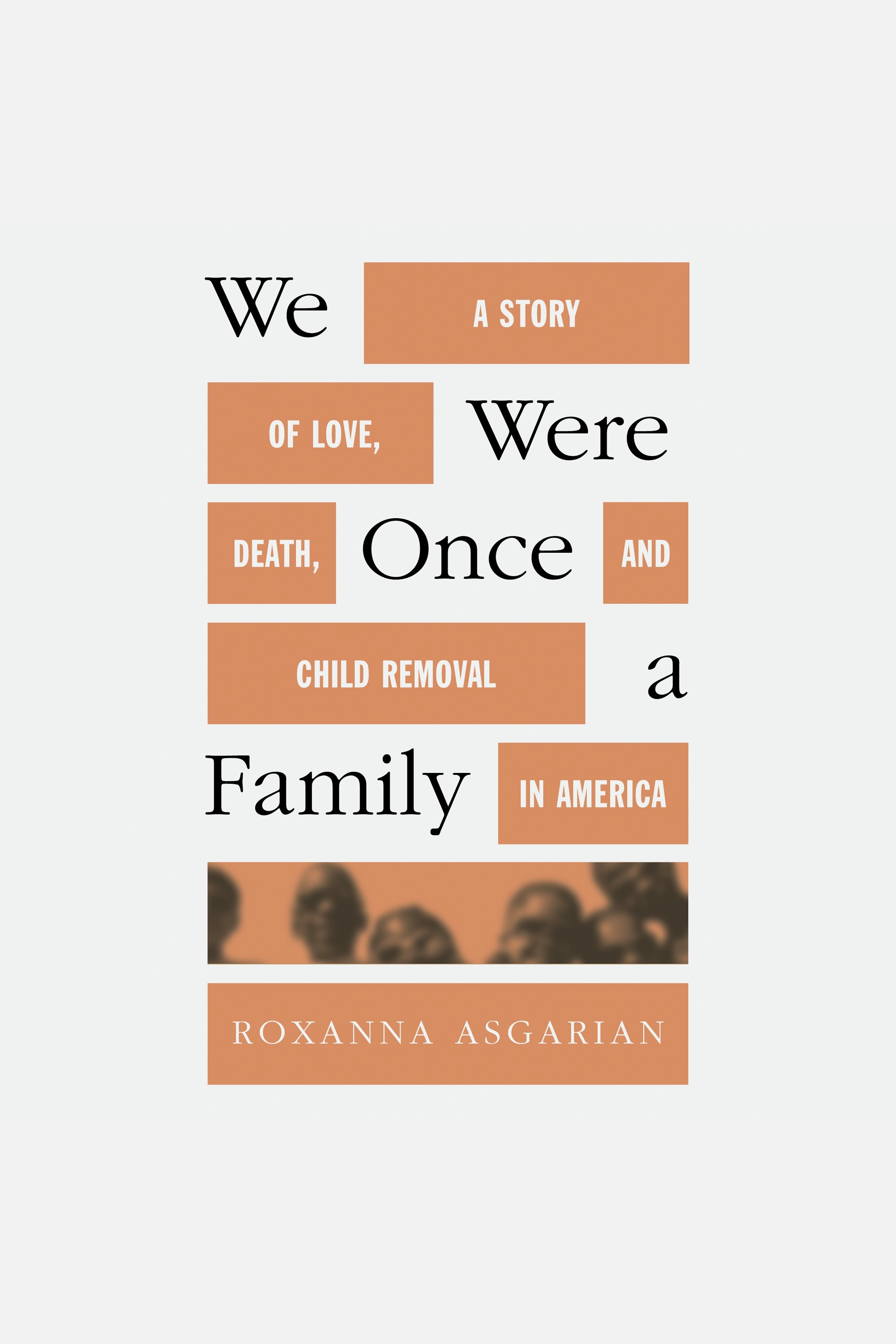 We Were Once a Family A Story of Love, Death, and Child Removal in America cover image cdn