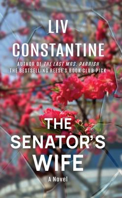 The senator's wife cover image cdn