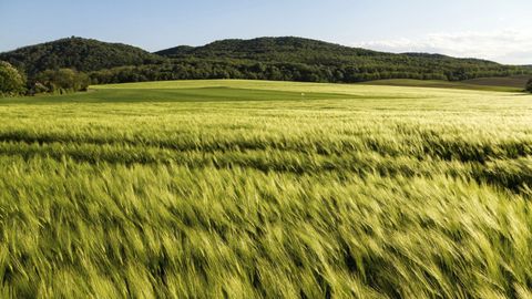 Meteorology: An Introduction to the Wonders of the Weather. Episode 12, Whence and Whither the Wind, Part 2 cover image cdn