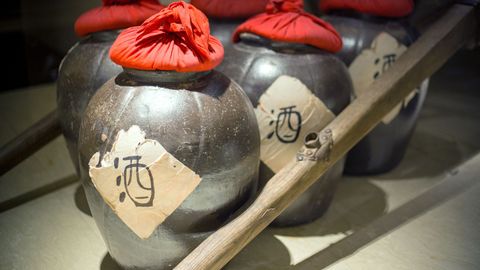 Cooking Across the Ages. Episode 3, Imperial China: Soybeans and Dumplings cover image cdn