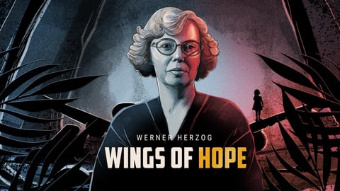Wings of Hope cover image cdn