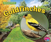 Goldfinches : Backyard Birds cover image cdn