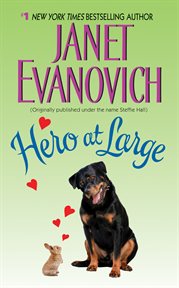 Hero at large cover image cdn