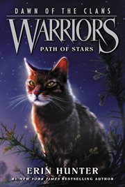 Path of stars cover image cdn