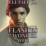 Flashes of Wonder and Woe : Saga of Sir Bryan cover image cdn