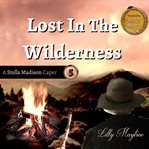 Lost in the Wilderness cover image cdn