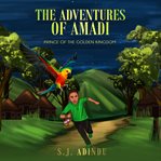 The Adventures of Amadi cover image cdn