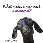 What Makes a Mammal a Mammal? cover image cdn