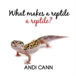 What Makes a Reptile a Reptile? cover image cdn