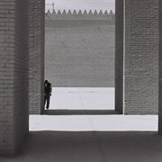 (american) FOOL cover image cdn