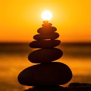 Focus cover image cdn