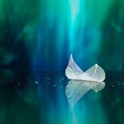 Reflections cover image cdn