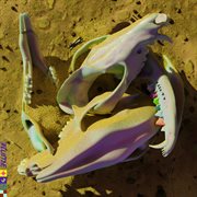 Rushing Back cover image cdn