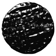 Sagrada cover image cdn