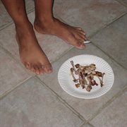 shut the f**k up talking to me cover image cdn