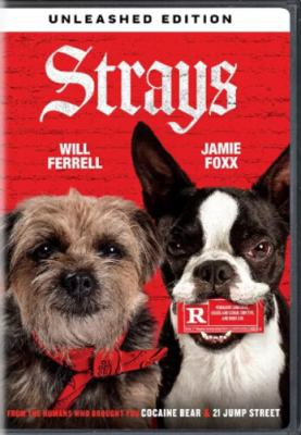 Strays cover image cdn