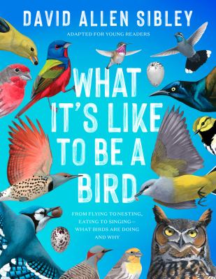 What it's like to be a bird, adapted for young readers : from flying to nesting, eating to singing-what birds are doing and why  cover image cdn