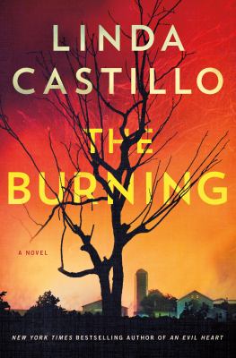 The burning  cover image cdn