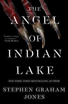 The angel of Indian Lake  cover image cdn