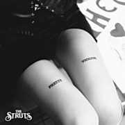 Pretty vicious cover image cdn