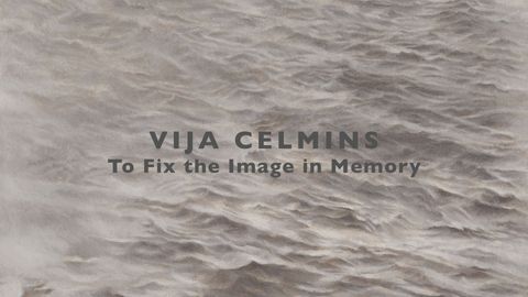 Vija Celmins: To Fix the Image in Memory cover image cdn