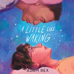 A Little Like Waking cover image cdn