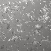 Before. cover image cdn