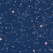 Constellation cover image cdn