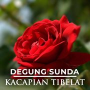 Degung Sunda Kacapian Tibelat cover image cdn