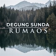 Degung Sunda Rumaos (feat. Barman S.) cover image cdn
