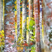 Do You Know Me Now?' – The Samadhisound Box Set cover image cdn