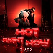 Hot Right Now - 2023 : 2023 cover image cdn