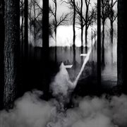 Into The Woods cover image cdn