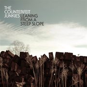 Leaning From a Steep Slope cover image cdn