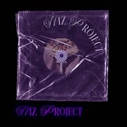 NIZ PROJECT cover image cdn