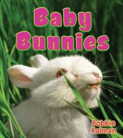 Baby Bunnies cover image cdn