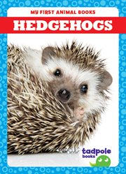 Hedgehogs cover image cdn